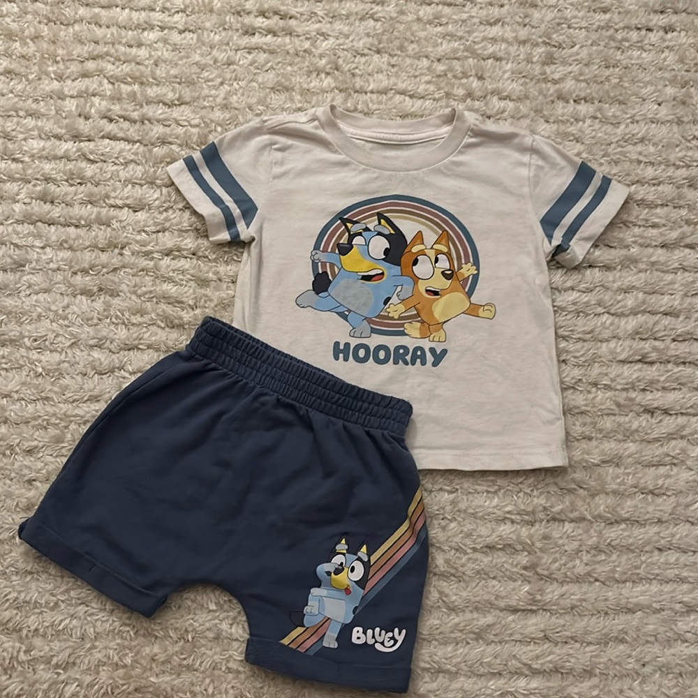 Bluey outfit